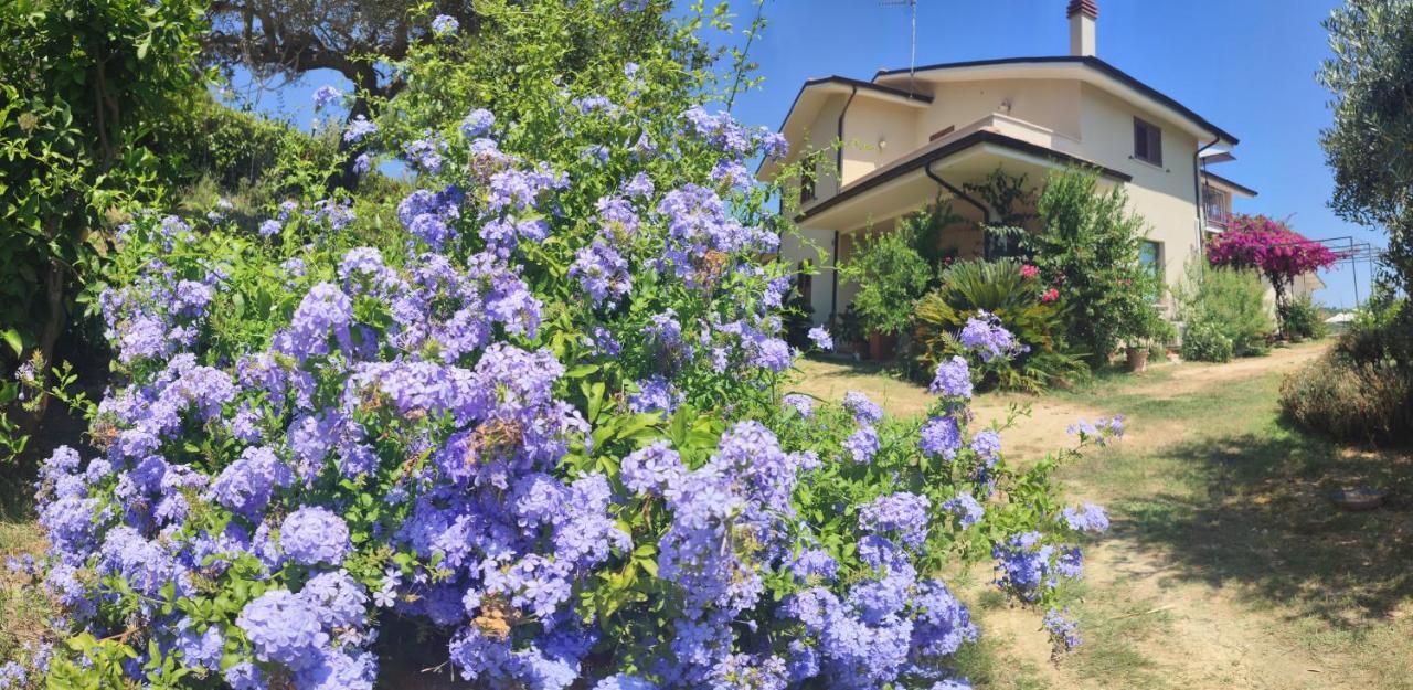 Апартаменты La Casa Di Stefania Pollutri Экстерьер фото